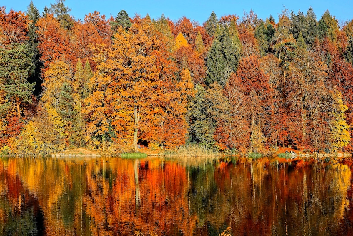 Best Fall Hikes in Canada