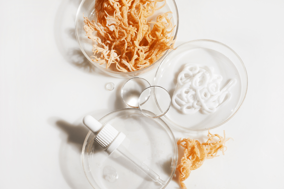 We’re Loving Sea Moss for Its Benefits, Inside and Out