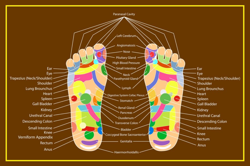 reflexology map for foot massage