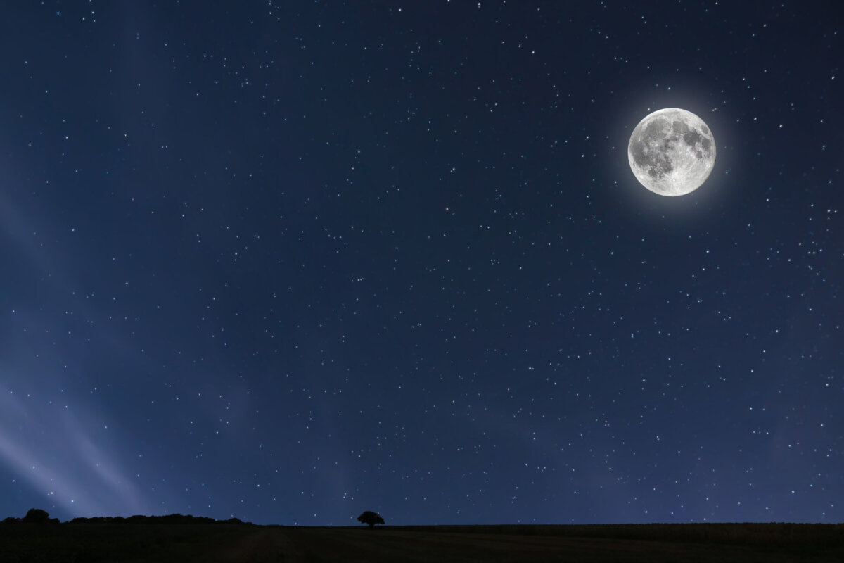 Aligning Wellness with March’s Worm Moon